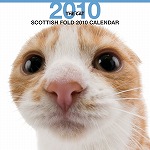 スコティッシュ・フォールド カレンダー