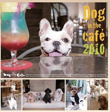 2010年版　Dog in the cafe