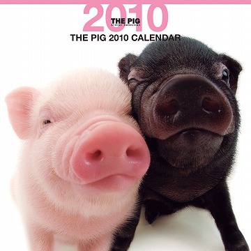 2010NŁ@THE PIG
