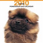 ポメラニアン カレンダー
